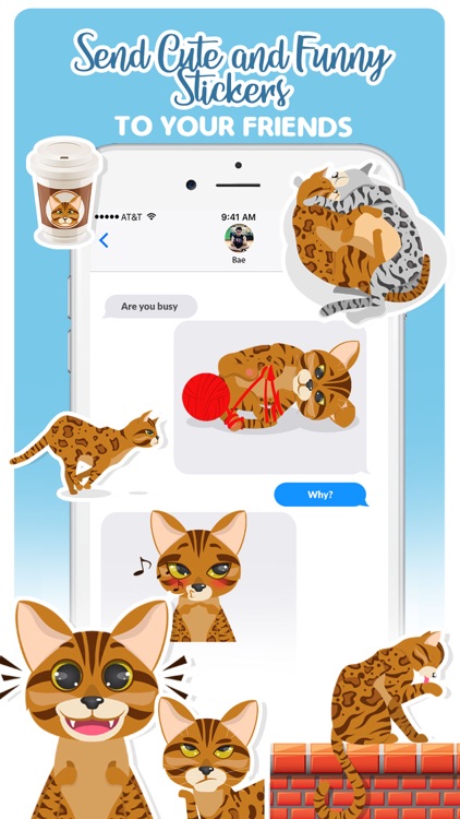 Bengal Cats Emoji Stickers App screenshot-3