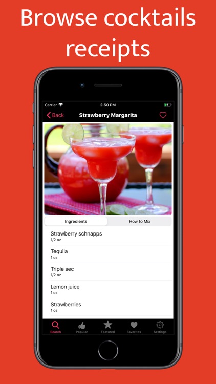 Cocktail Recipes: Mixed Drinks