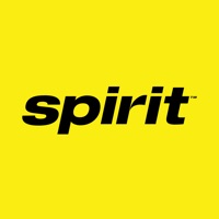 Spirit Airlines Avis