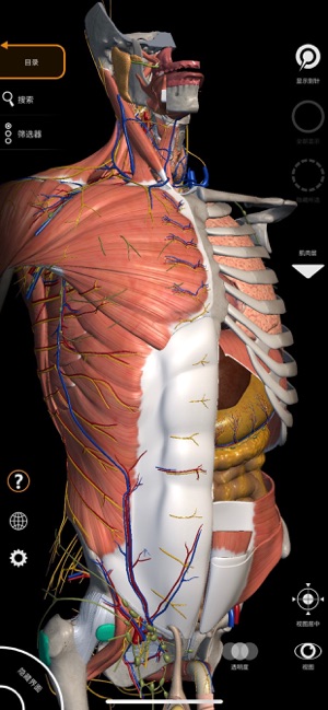 App Store 上的 解剖学 三维图谱