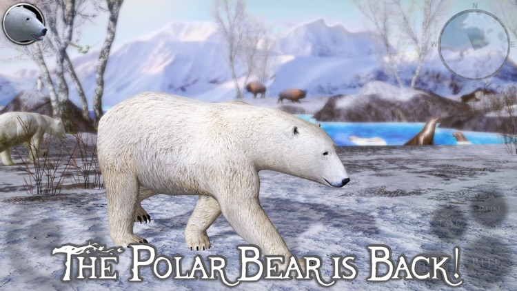 Polar Bear Simulator 2 screenshot-0