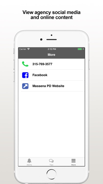 Massena PD screenshot-3