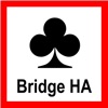 Bridge Hand Analyzer