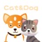 使用宠物猫狗语翻译器App，你与爱宠零距离互动