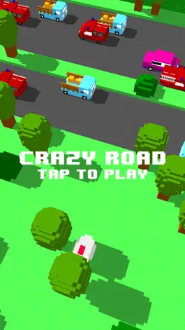 Game screenshot Crazy Road Game mod apk