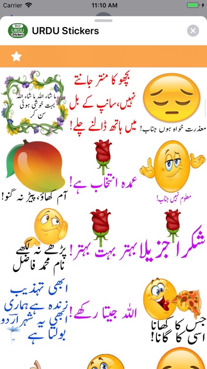 URDU Stickers screenshot-4