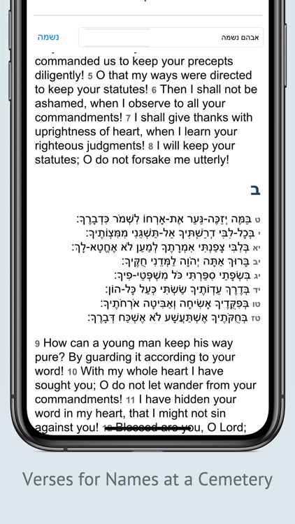 Tehilim תהלים Tehillim Psalms screenshot-3