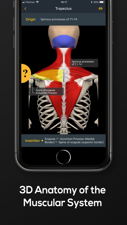 Strength by Muscle & Motion screenshot-6