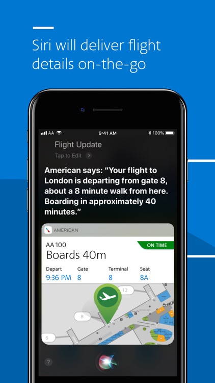 American Airlines