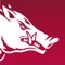 Calling all Razorbacks fans – The official Arkansas Razorbacks Gameday application has a new look and feel for the 2017–18 season