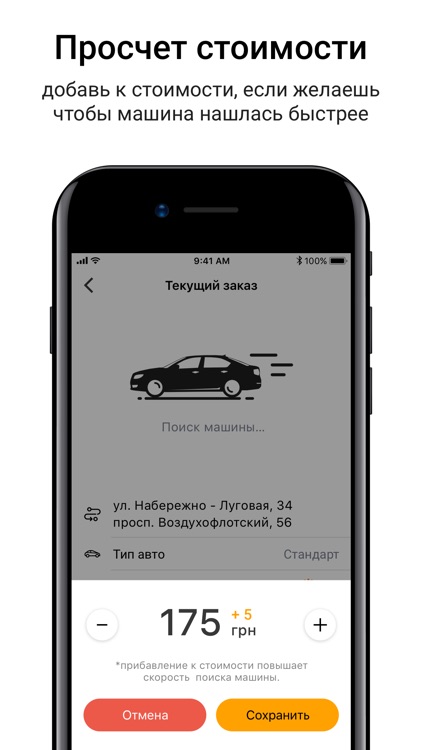 Taxi Tiger in Kiev - 7755 screenshot-4