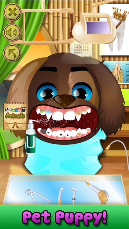 Animal Dentist Simulator