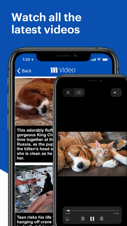 MailOnline screenshot-5