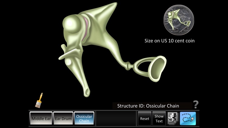 Middle Ear ID