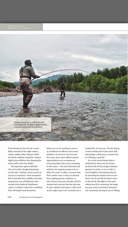 Chasing Silver Magazine screenshot-4