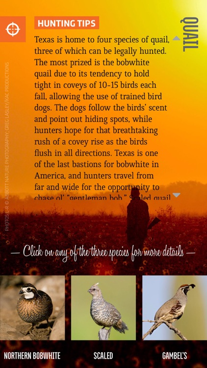 TX Parks & Wildlife magazine screenshot-4