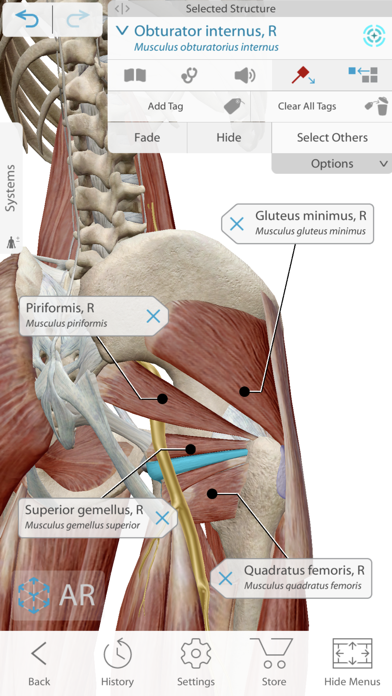 Complete Anatomy Cracked