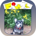 Top 27 Reference Apps Like Pocket Rally Dog Obedience - Best Alternatives