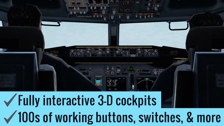 X-Plane Flight Simulator screenshot-6