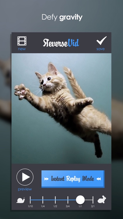 Reverse Vid: Play It Backwards screenshot-3