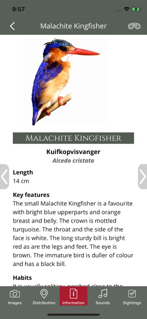 BirdPro Kruger National Park(圖4)-速報App