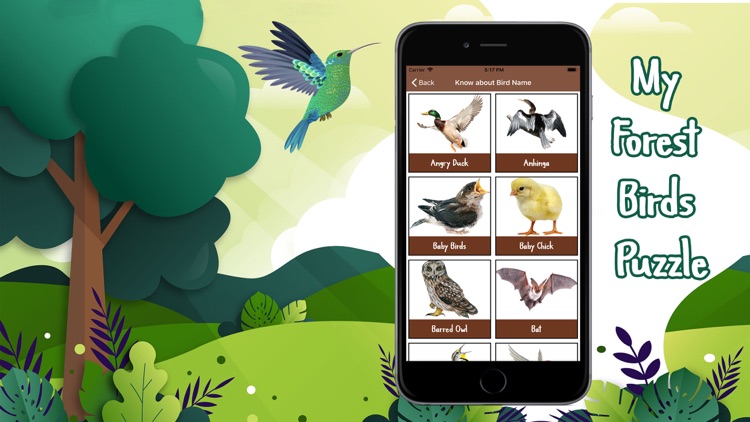 My Forest Birds Puzzle screenshot-4