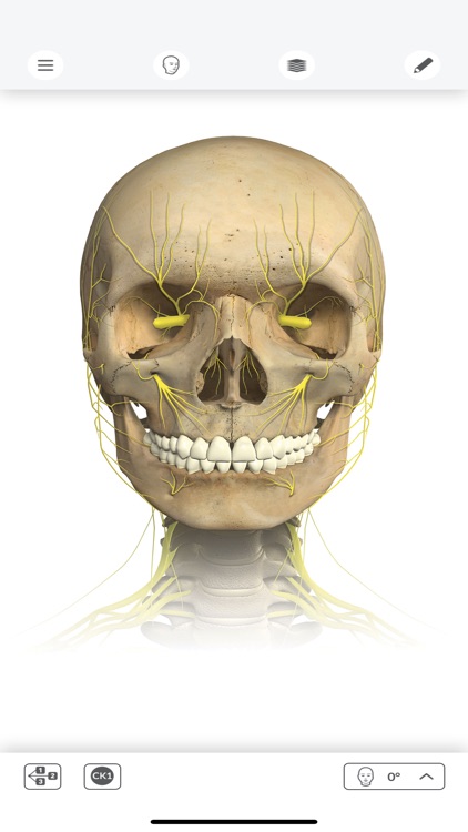 Interactive Anatomy - BE & NL screenshot-4