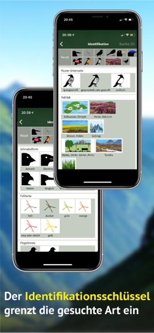 Vögel der Schweiz - Fotoguide(圖9)-速報App