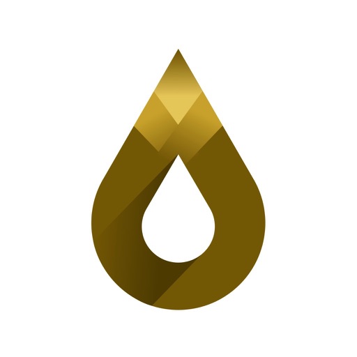OilDrop: бизнес платформа