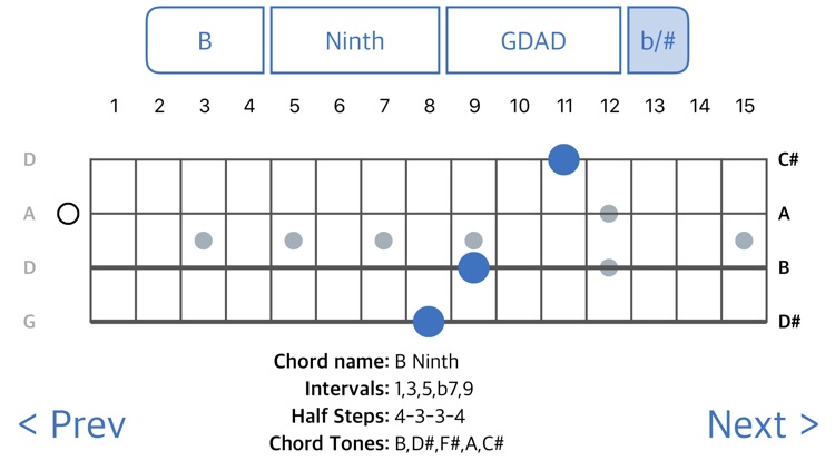 Chordfinder for Bouzouki screenshot-4