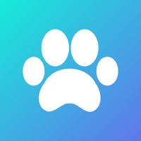 Pet Prints sur PC