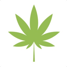 4:20 News & Cannabis Guides