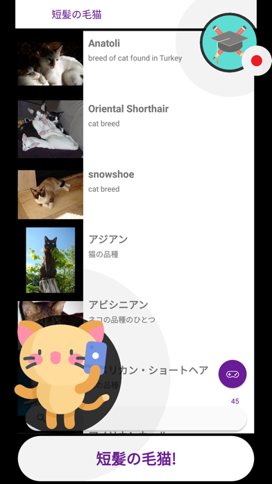 猫 クイズ ゲーム 2019 (日本の)のおすすめ画像2