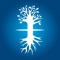 Kabbalah TV broadcasts 24 hours a day free wide range of current affairs programs, culture, spirit, lifestyle, education, family, lectures, personal stories