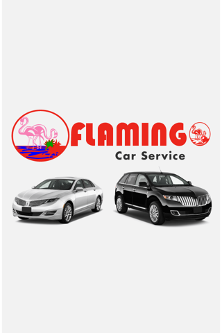 Flamingo Car and Limo Service - náhled
