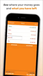 fudget pro: budget planner iphone screenshot 3