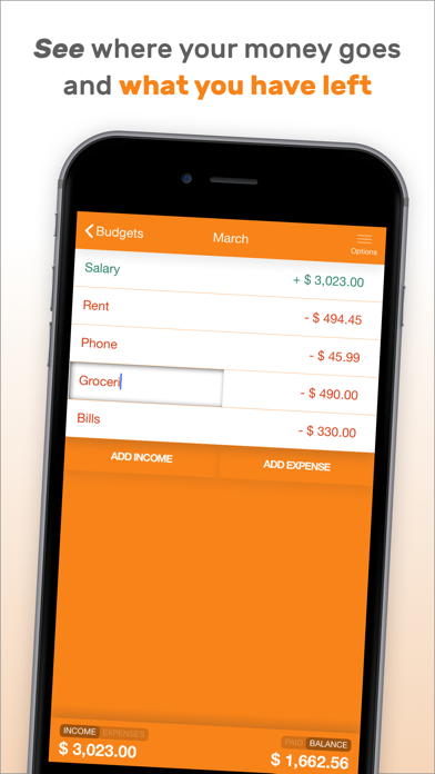 Fudget Pro: Budget Planner screenshot 3