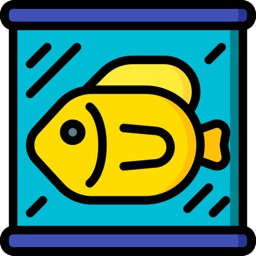 Aquarium Memorize game