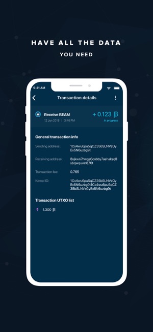 Beam Privacy Wallet(圖4)-速報App