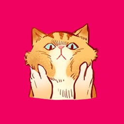 Funny Tabby Cat Stickers