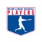 The MLBPA provides PA announcements, news, updates, collective bargaining information, and licensing frameworks within this app