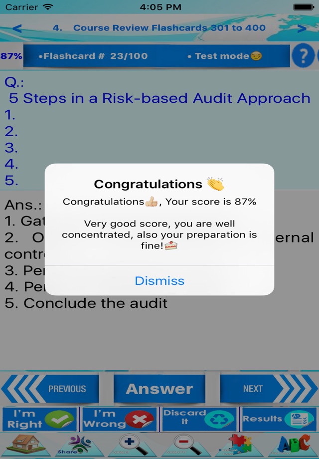 Information System Audit Pro screenshot 2