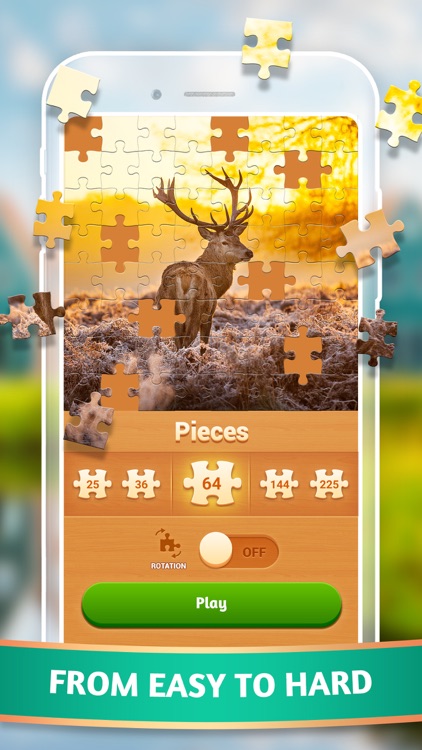 Jigsaw Puzzles Master