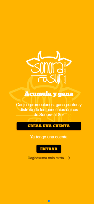 Sonora al Sur(圖2)-速報App