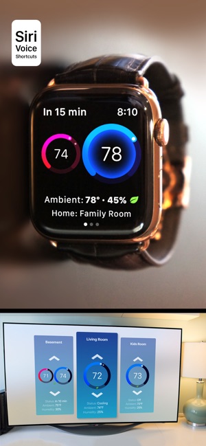 Thermo Watch for Nest