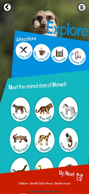 Marwell Zoo(圖5)-速報App