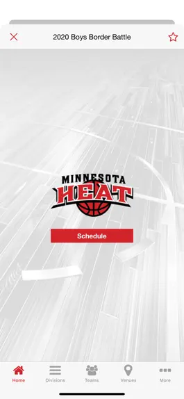 Game screenshot Minnesota Heat Hoops hack