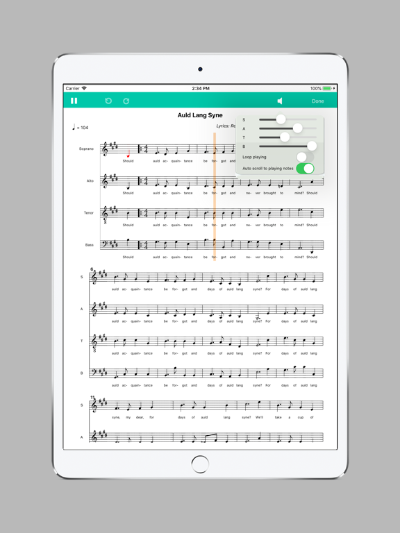 Score Creator for iPad - Music notation & composition screenshot