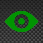 Digital Witness
