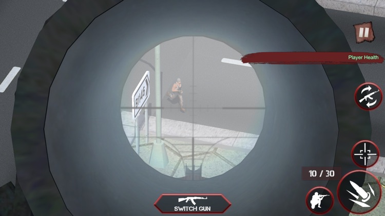 Sniper Assassin Gun Shooter 3D screenshot-4